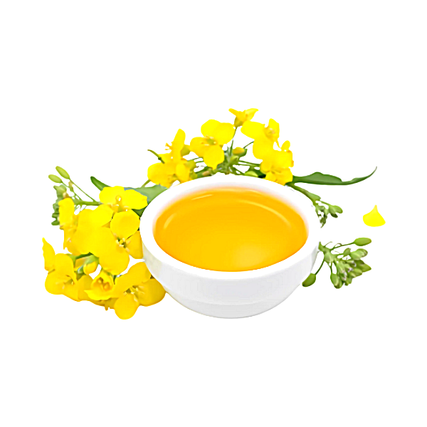 Huile de colza désodorisée bio - BIB 5L