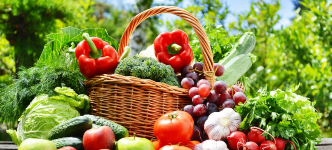 Fruits et légumes de juillet : liste et conservation