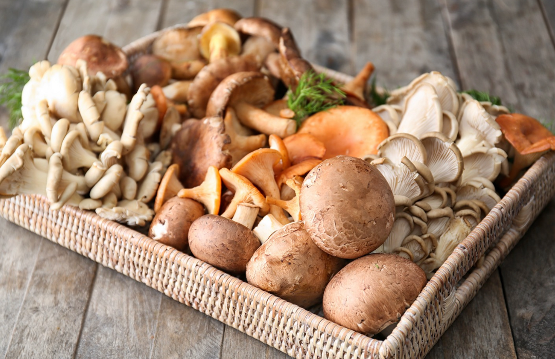 Champignons : secrets de conservation et gestes anti-gaspi