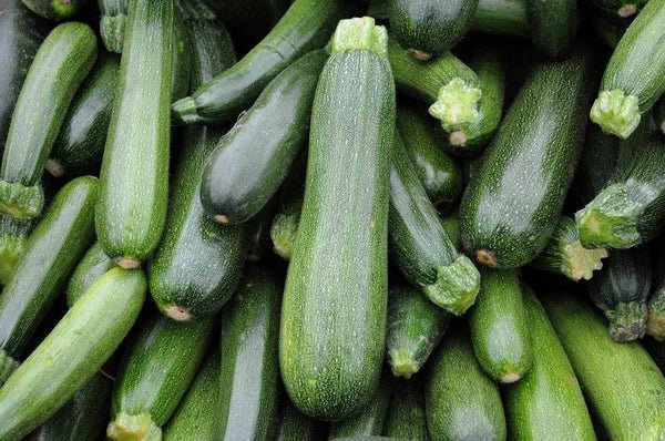 Conservation de la courgette : nos conseils ! - Willy anti-gaspi