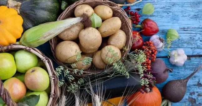 Les légumes et fruits d’octobre à consommer sans modération ! - Willy anti-gaspi