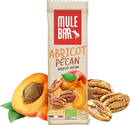 Barre énergétique abricot-pécan bio - 40g