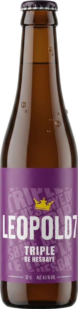 Bière triple 8,5% - 33cl
