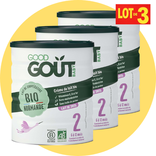 Lot de 3 lait de croissance 2ème âge (6 à 12 mois)