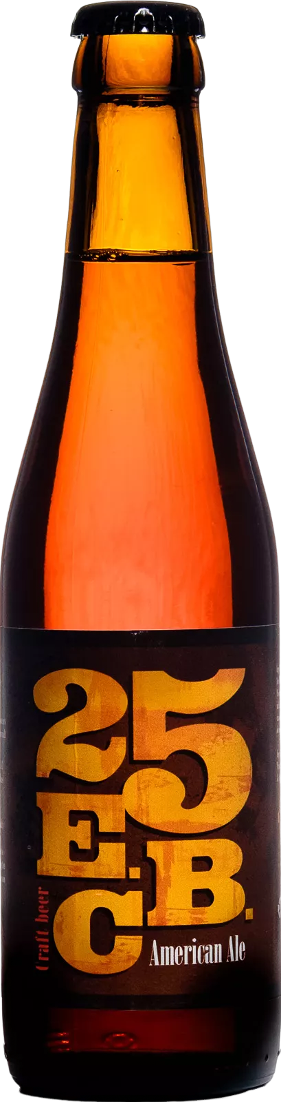 Bière 25 E.B.C ambrée - 33cl