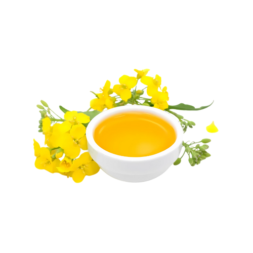 Huile de colza désodorisée bio - BIB 5L
