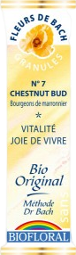 Granules Bourgeon marronnier bio - 10g