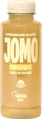 Citronnade glacée au gingembre bio - 35cl